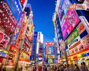 NHẬT BẢN - TOKYO - NÚI PHÚ SỸ - UNEO PARK - VƯỜN DÂU (5N4D)