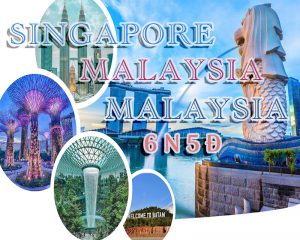 SINGAPORE - MALAYSIA - INDONESIA ( 6N5Đ)